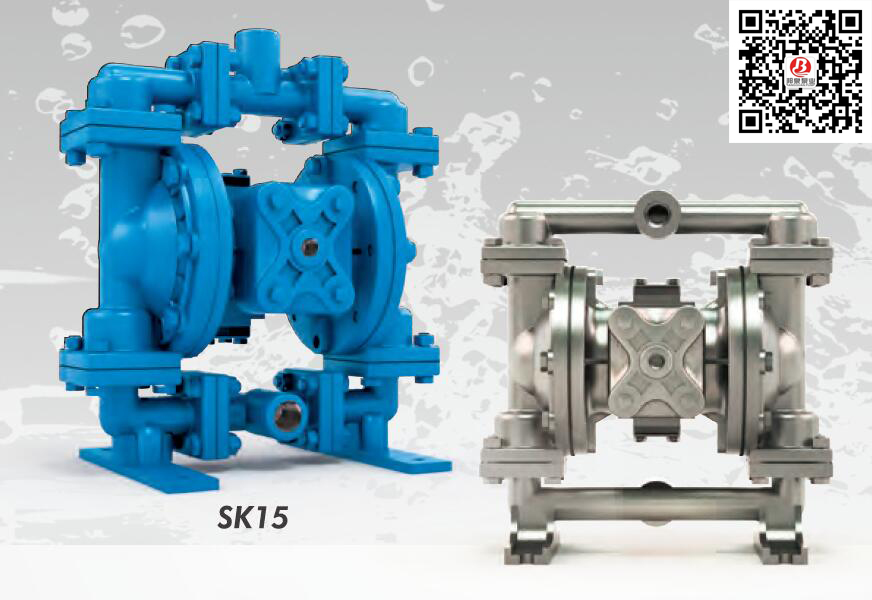 Skylink SK15/3AAA/EEPE/0B0 氣動隔膜泵