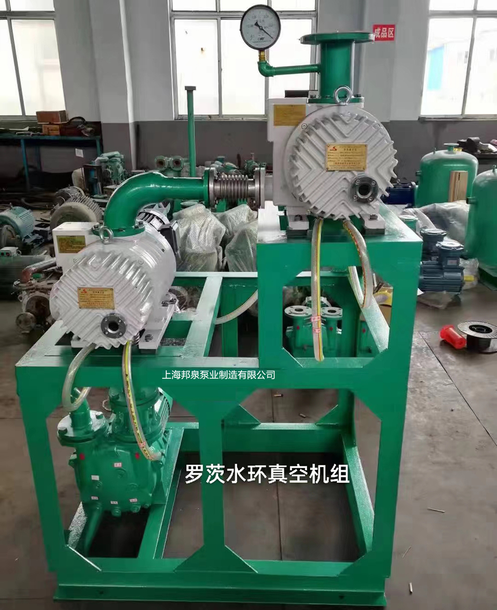 羅茨水環真空機組Roots pump systems with water ring